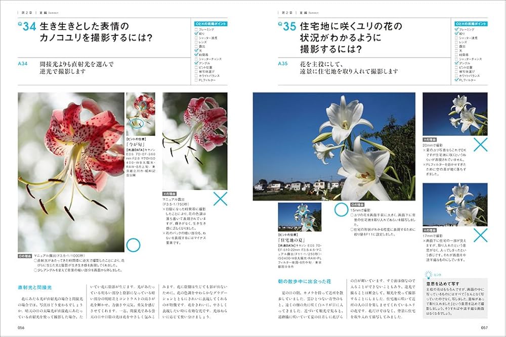 日本の花本 ちいさな日本刺繍 花と植物 | 浅賀菜緒子 |本 | 通販 | Amazon